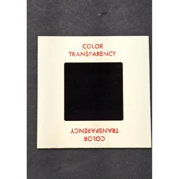 Vintage Color Slide Harry Britton Husband Lib Protester June 1973 Washington DC - Picture 6 of 7